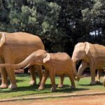 Jumbo Diaries: The Great Elephant Migration